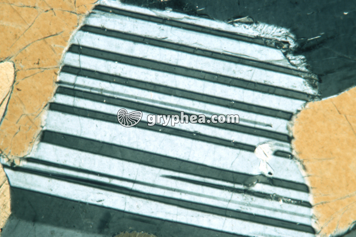 Plagioclase (feldspath) LPA x25 - gryphea.com